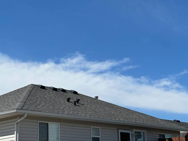 Roof Coating Services in Beverly, OH